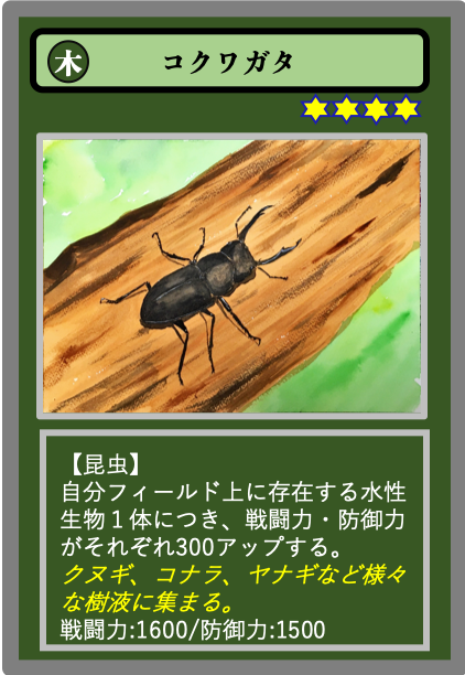 生物カード（木）コクワガタ